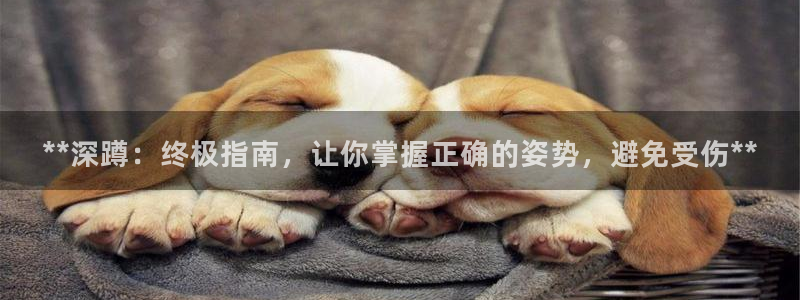 龙8国际的官方网站
