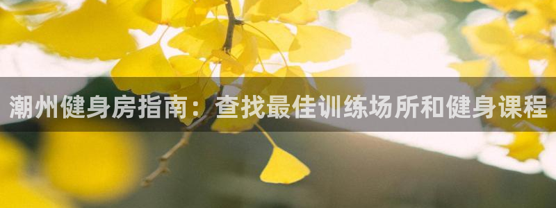 龙8国际网页登陆