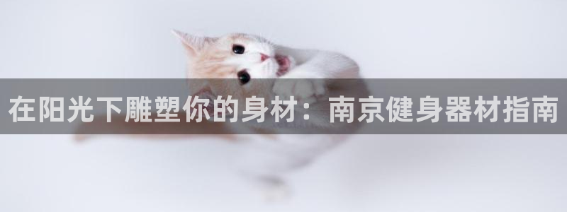 龙8国际app下载官网手机版最新版