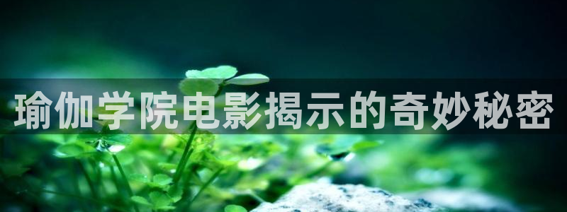 龙8国际提现