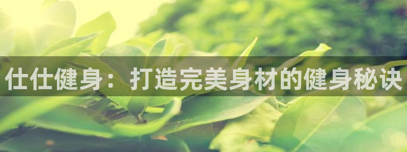 龙八国际娱乐网页多少