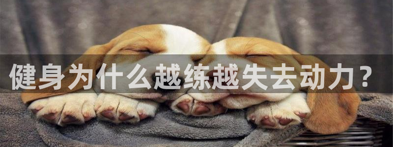龙8国际2023官方版fxzls安卓-1.2.9 -安卓