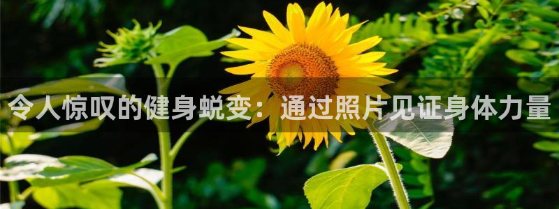 龙8国际手机游戏官网版