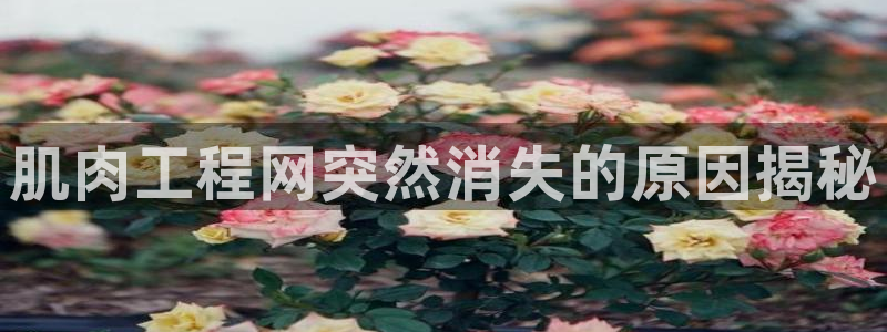 龙8游戏平台官方网站是多少