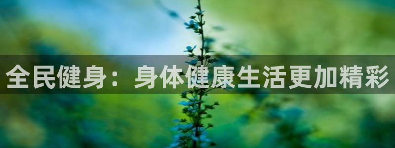国际龙8官网pt客户端