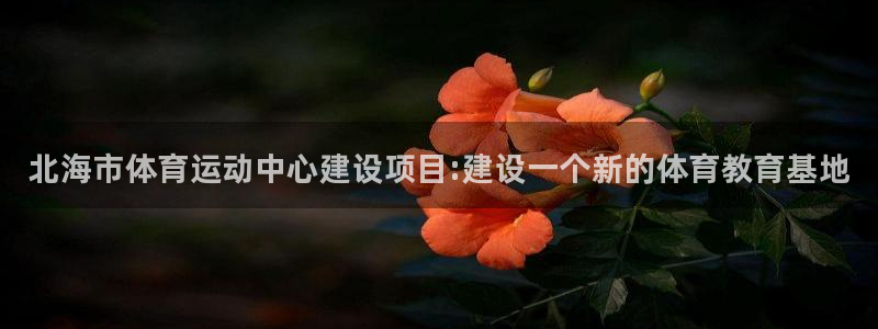 k1体育棋牌网址：北海市体育运动中心建设项目:建设一个新的体育教育基地