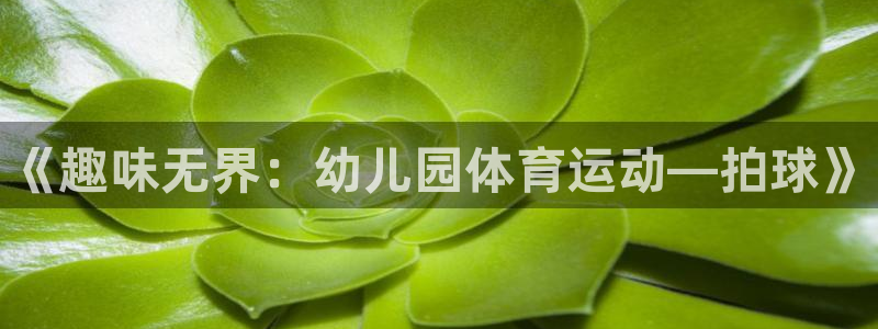 k1体育棋牌网址：《趣味无界：幼儿园体育运动—拍球》