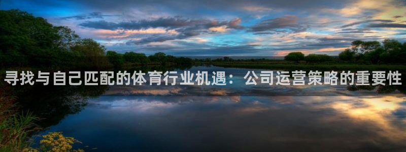 k1体育十年品牌官网：寻找与自己匹配的体育行业机遇：公司运营策略的重要性