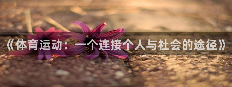 k1体育平台最新网站下载：《体育运动：一个连接个人与社会的途径》