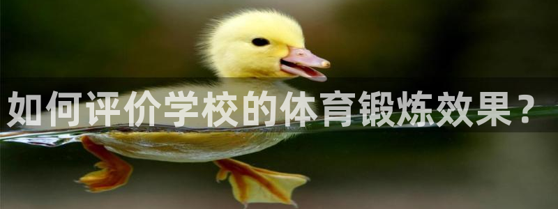 k1体育 十年品牌：如何评价学校的体育锻炼效果？