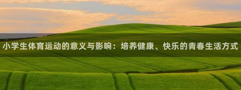 k1体育十年品牌官网：小学生体育运动的意义与影响：培养健康、快乐的青春生活方式