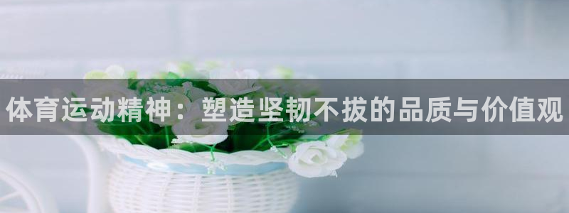 k1体育棋牌网址：体育运动精神：塑造坚韧不拔的品质与价值观
