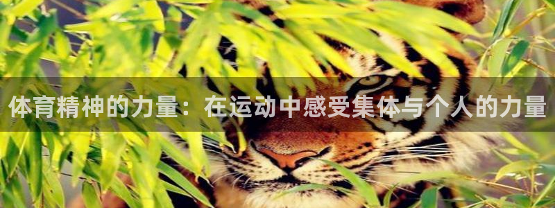 k1体育链接：体育精神的力量：在运动中感受集体与个人的力量