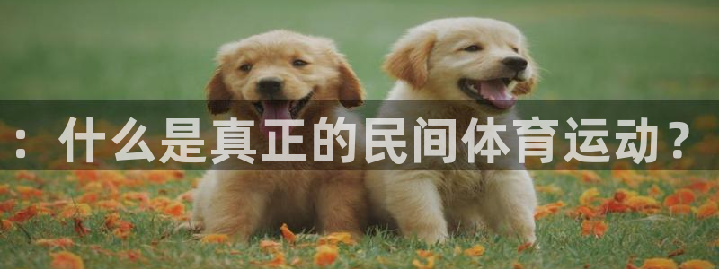 k1体育app下载：：什么是真正的民间体育运动？