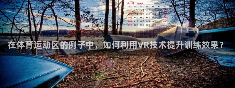 k1体育下载链接：在体育运动区的例子中，如何利用VR技术提升训练效果？