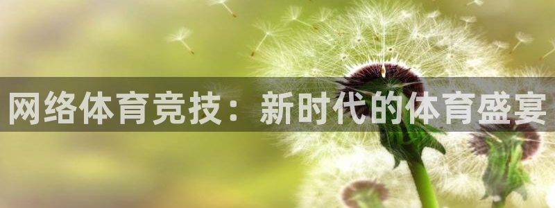 k1体育网址：网络体育竞技：新时代的体育盛宴