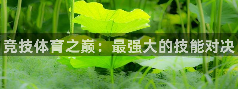 k1体育app下载链接：竞技体育之巅：最强大的技能对决