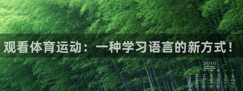 k1体育app下载：观看体育运动：一种学习语言的新方式！