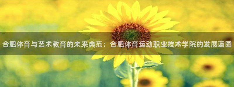 k1体育 十年品牌：合肥体育与艺术教育的未来典范：合肥体育运动职业技术学院的发展蓝图