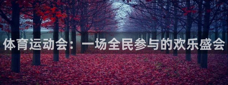 k1体育app下载：体育运动会：一场全民参与的欢乐盛会