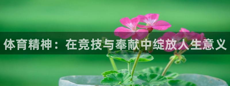 帮k1体育在线登录：体育精神：在竞技与奉献中绽放人生意义