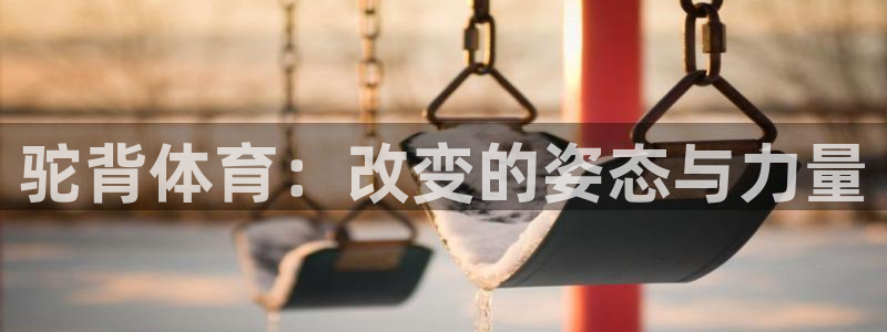 k1体育app：驼背体育：改变的姿态与力量