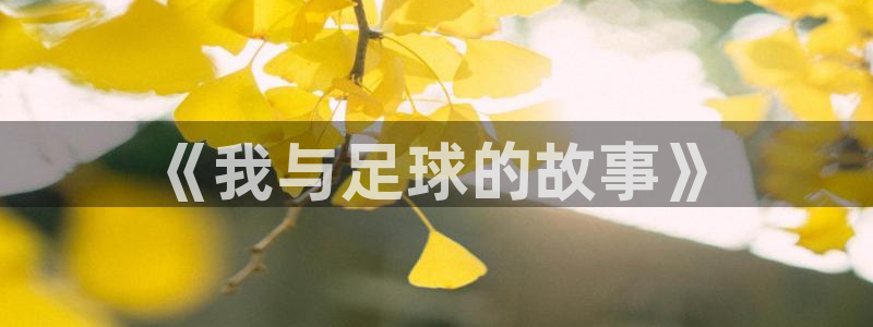 k1体育网站登录官网：《我与足球的故事》