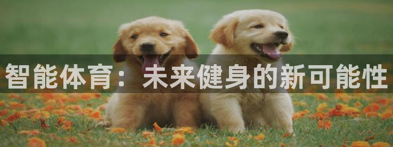 k1体育十年品牌：智能体育：未来健身的新可能性