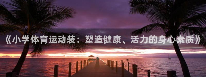 k1体育平台下载：《小学体育运动装：塑造健康、活力的身心素质》