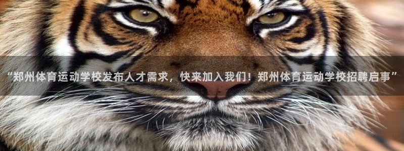 k1体育十年品牌官网：“郑州体育运动学校发布人才需求，快来加入我们！郑州体育运动学校招聘启事”
