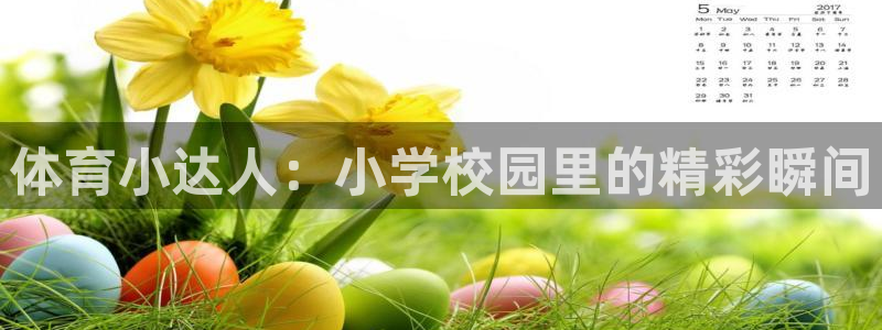 k1体育十年品牌：体育小达人：小学校园里的精彩瞬间