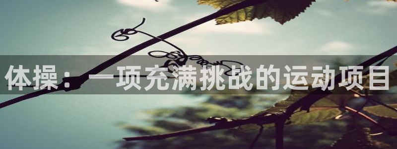 k1体育下载地址