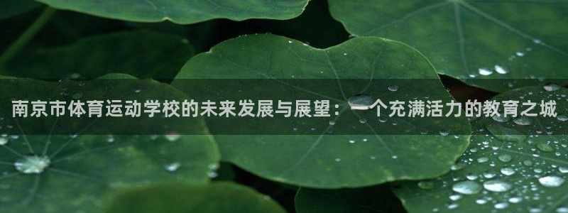 k1体育十年登录入口：南京市体育运动学校的未来发展与展望：一个充满活力的教育之城