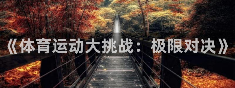 k1体育下载链接：《体育运动大挑战：极限对决》