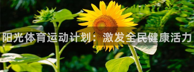 k1体育链接：阳光体育运动计划：激发全民健康活力