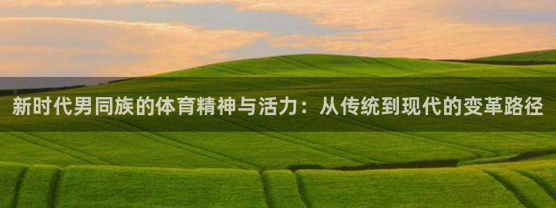 k1体育平台最新网站下载：新时代男同族的体育精神与活力：从传统到现代的变革路径