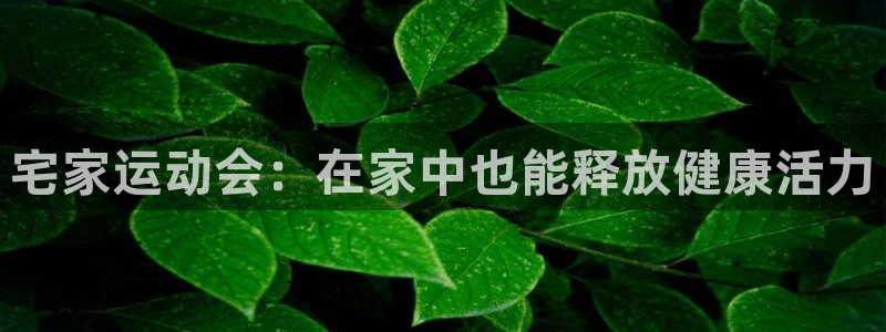k1体育娱乐：宅家运动会：在家中也能释放健康活力