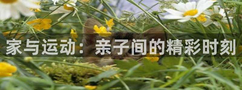 k1体育棋牌：家与运动：亲子间的精彩时刻