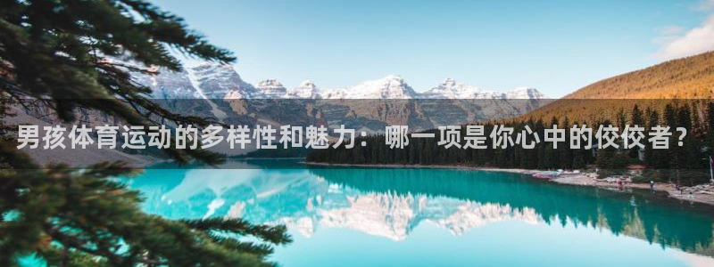 帮k1体育在线登录：男孩体育运动的多样性和魅力：哪一项是你心中的佼佼者？
