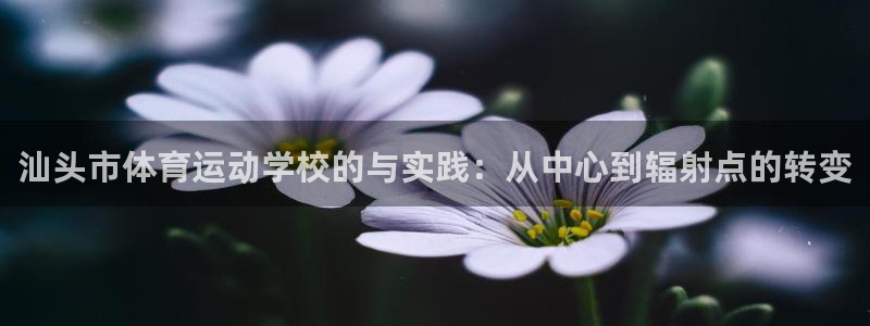k1体育网址是多少