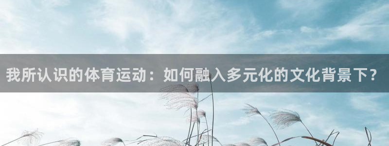 k1体育十年品牌官网：我所认识的体育运动：如何融入多元化的文化背景下？
