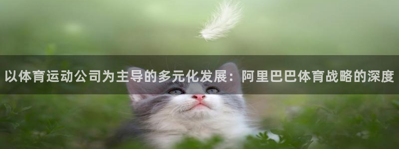 k1体育娱乐：以体育运动公司为主导的多元化发展：阿里巴巴体育战略的深度