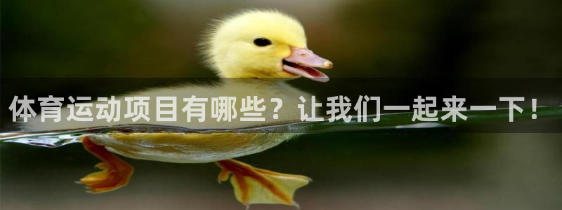 k1体育棋牌网址：体育运动项目有哪些？让我们一起来一下！