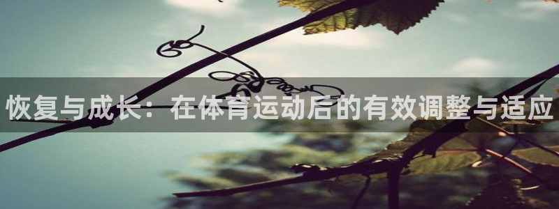 帮k1体育在线登录：恢复与成长：在体育运动后的有效调整与适应