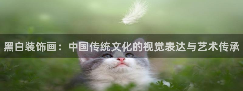 帮k1体育在线登录：黑白装饰画：中国传统文化的视觉表达与艺术传承