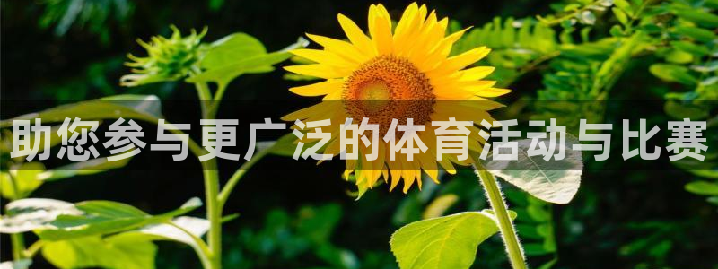 k1体育平台3915：助您参与更广泛的体育活动与比赛