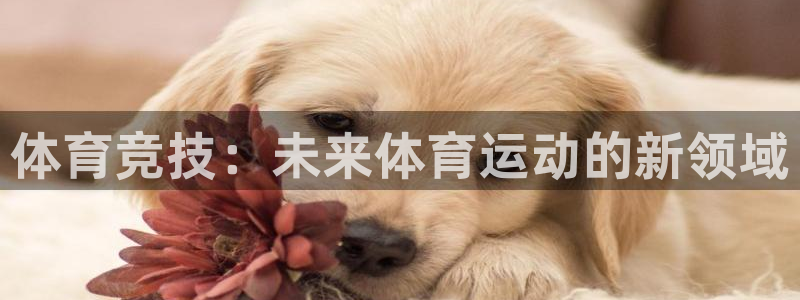 k1体育十年平台：体育竞技：未来体育运动的新领域