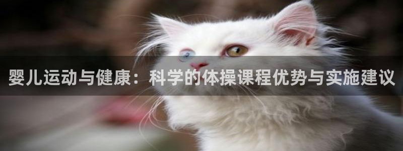 k1体育入口：婴儿运动与健康：科学的体操课程优势与实施建议