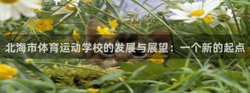 k1体育十年品牌值得信赖：北海市体育运动学校的发展与展望：一个新的起点