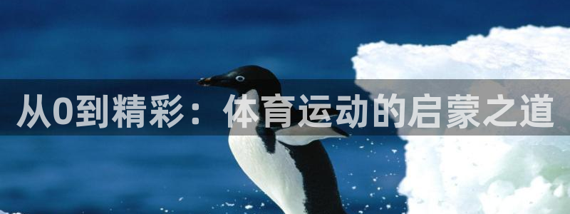 k1体育十年登录入口：从0到精彩：体育运动的启蒙之道